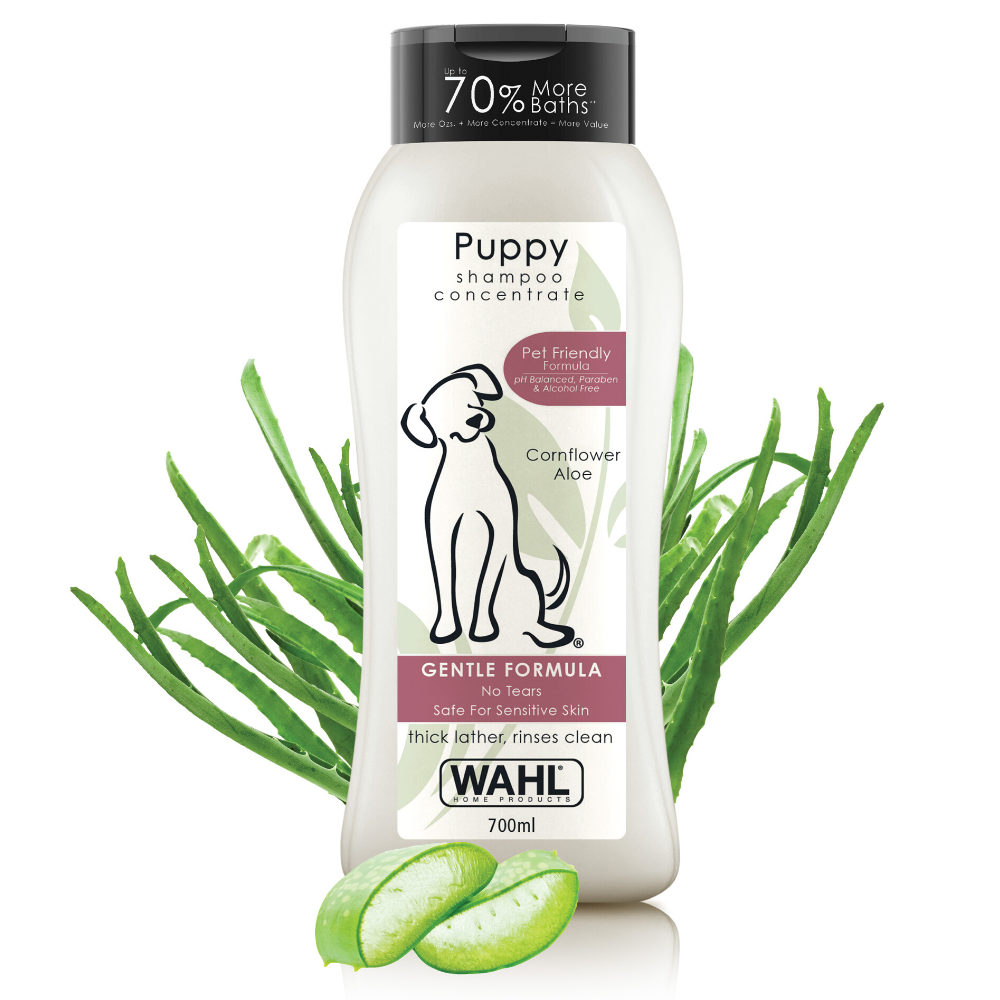 Wahl dog flea clearance shampoo